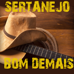 Sertanejo Raiz